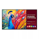 Professional Displays