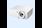 Laser Projector