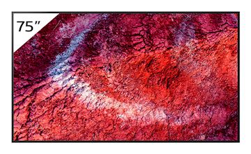Écran professionnel BRAVIA 75" 700 nits DBNG Premium