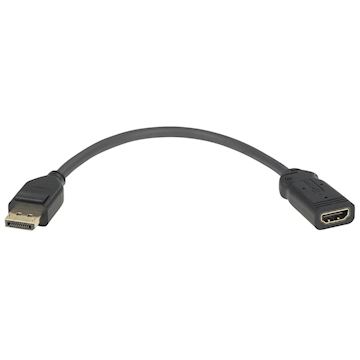 Extron Displayport M-HDMI F (15 cm)