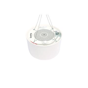 Cambridge DS1339W-TAA