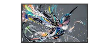 Philips 55BDL3511Q/00 Moniteur LED 55 Pouces